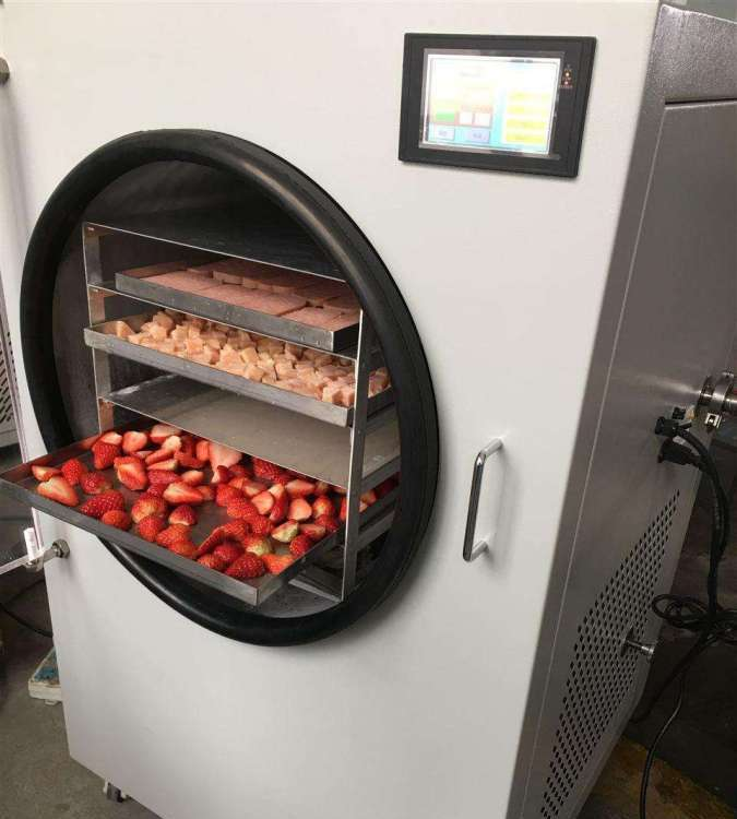 Commercial Industrial Mini Fre - Commercial Food Dehydrator recension och pris